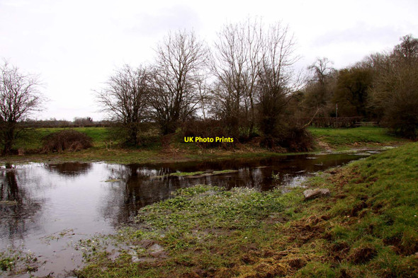 Photo 6"x4" The River Thames near Kemble Kemble c2013