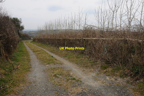 Photo 6"x4" Track to farmland Llanycefn c2013