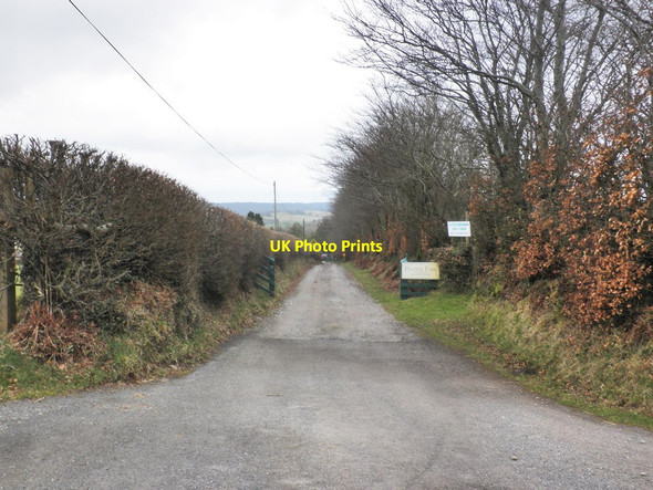 Photo 6"x4" Track to Pitleigh Farm Wheddon Cross c2013