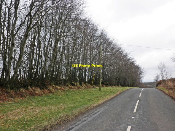 Photo 6"x4" Minor Road on Exton Hill Coppleham c2013