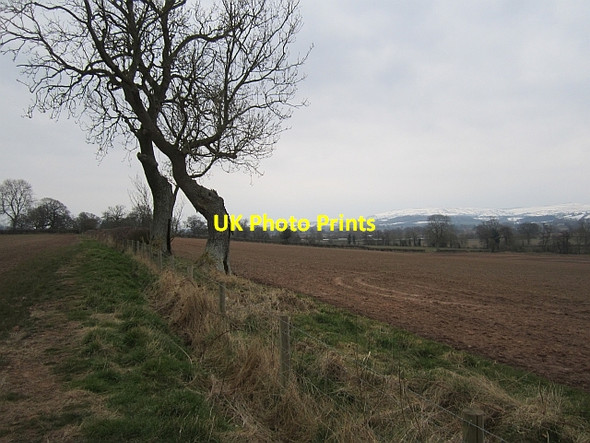 Photo 6"x4" Farmland, Diddlebury Corfton c2013