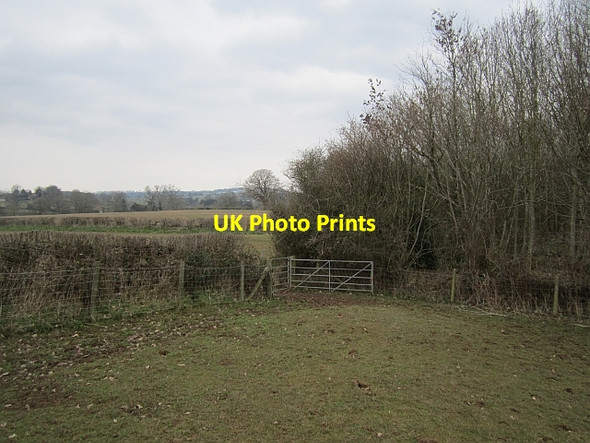 Photo 6"x4" Corner of Corfton Plantation Corfton c2013