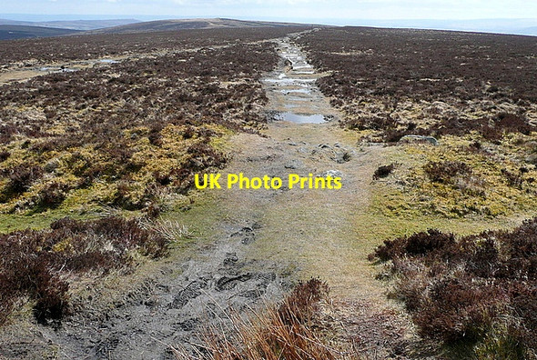 Photo 6"x4" On Hameldown Tor Heathercombe c2013