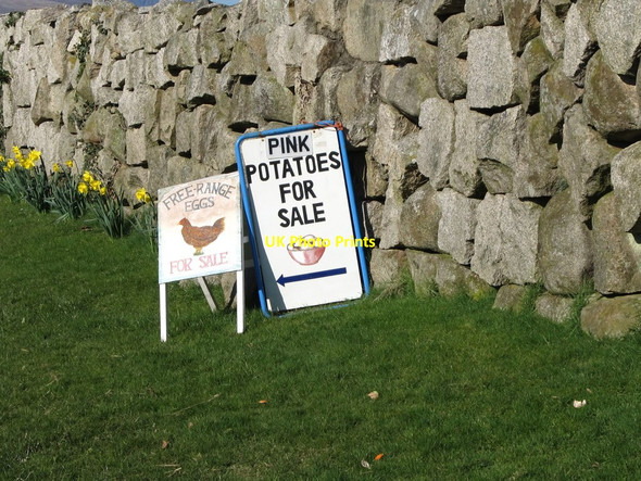 Photo 6"x4" Roadside advertising boards on Ballyveaghbeg Road Ballymartin c2011