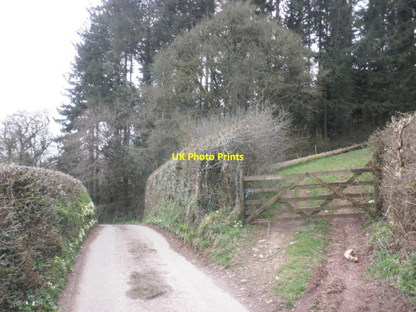 Photo 6"x4" Country lane, near Hatswell Washfield c2013
