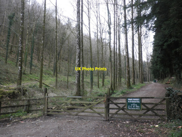 Photo 6"x4" Commercial forestry entrance, Stanterton Plantation Washfield c2013