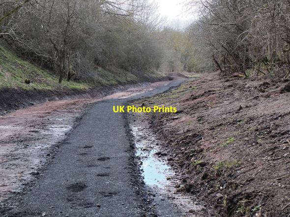 Photo 6"x4" Path surface on old railway line, Roxburgh Heiton c2013