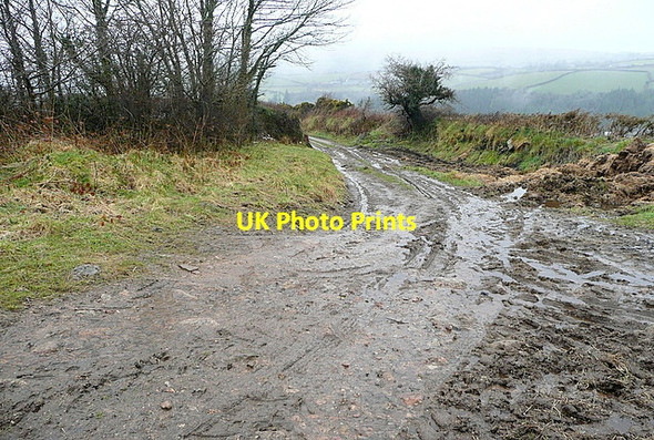 Photo 6"x4" Track to Higher Pudsham Higher Dunstone c2013
