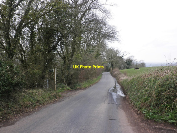 Photo 6"x4" Exeter Hill Tiverton\/SS9512 c2013