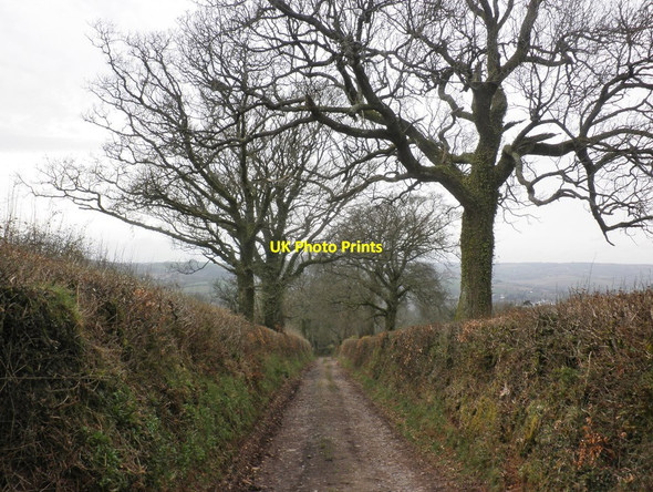 Photo 6"x4" Gogwell Lane Tiverton\/SS9512 c2013