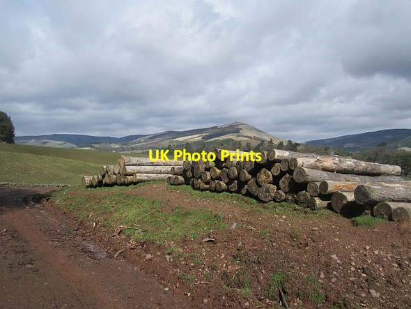 Photo 6"x4" Logs, Traquair Innerleithen c2013