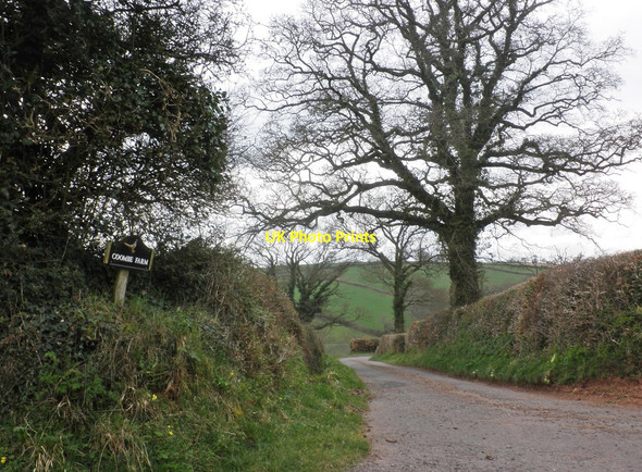 Photo 6"x4" Road to Coombe Farm Butterleigh c2013