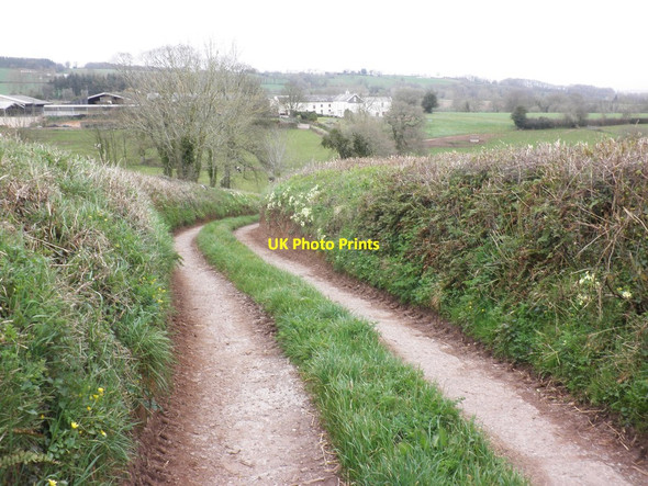 Photo 6"x4" Track to Oburnford East Butterleigh c2013