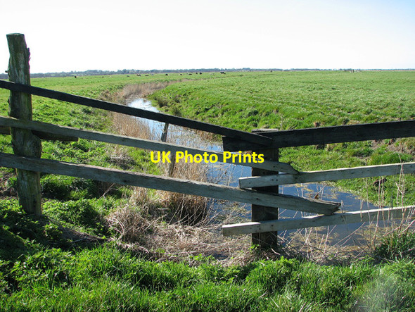 Photo 6"x4" Ditch separating marsh pastures south of Somerleyton Haddiscoe c2013