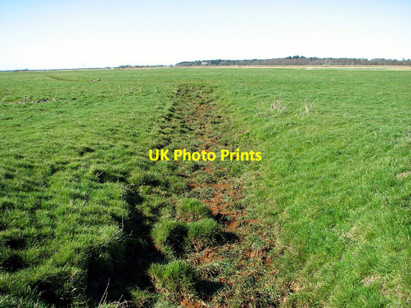 Photo 6"x4" Dried out ditch in marsh pastures south of Somerleyton Haddiscoe c2013