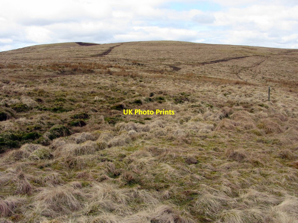 Photo 6"x4" Boggy moorland north-east of Brownhart Law Upper Hindhope c2013