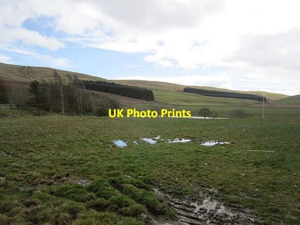 Photo 6"x4" Huntly Moss Fauldshope c2013