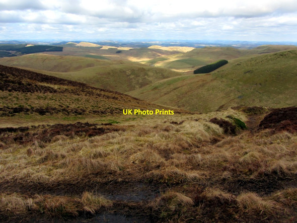 Photo 6"x4" Linear earthwork, Brownhart Law Upper Hindhope c2013
