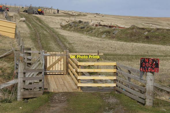 Photo 6"x4" Newly repaired bridge at Skaw Kirkaton c2013