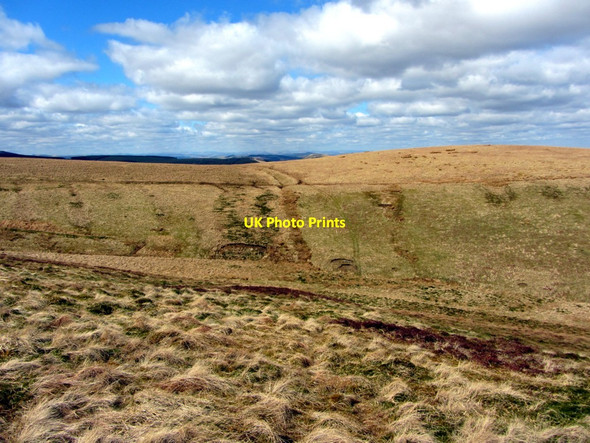 Photo 6"x4" Whiteside Hill above Hind Hope Upper Hindhope c2013