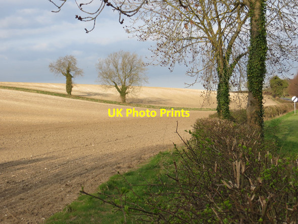 Photo 6"x4" South Field, North Dalton North Dalton c2013