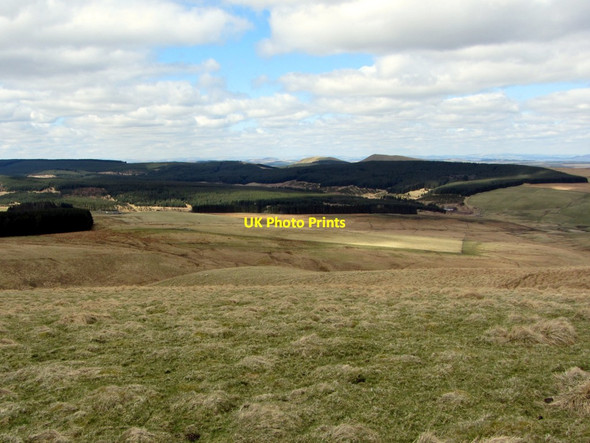 Photo 6"x4" Moorland north of Grindstone Burn Upper Hindhope c2013