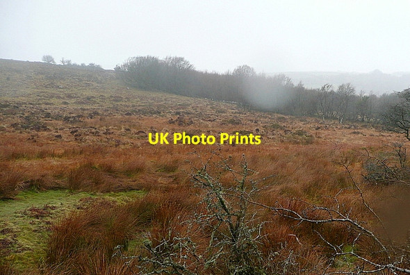 Photo 6"x4" Near Emsworthy Bonehill\/SX7277 c2013