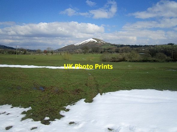 Photo 6"x4" Field, Minton Minton c2013