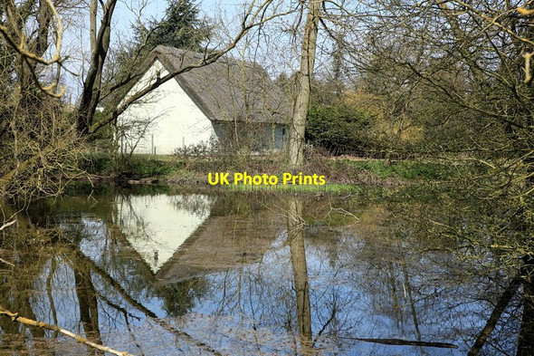 Photo 6"x4" Pond, Littlebury Green Littlebury Green c2013