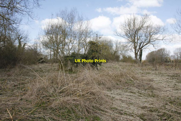 Photo 6"x4" Becoming hidden Lechlade on Thames c2013