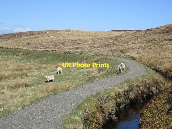 Photo 6"x4" Greenock Cut Spango\/NS2374 c2013