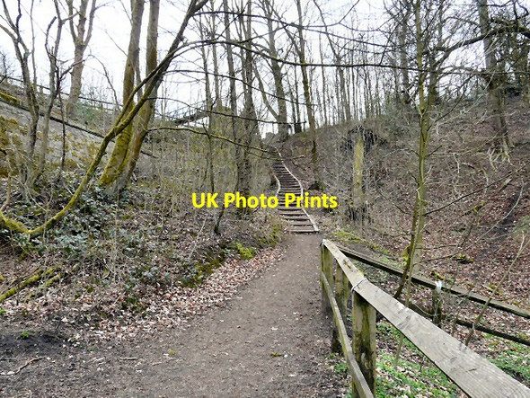 Photo 6"x4" Steps to the canal Hyde\/SJ9494 c2013