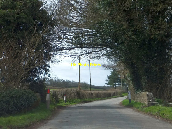 Photo 6"x4" Small bridge near Ridby Court Farm Kivernoll c2013