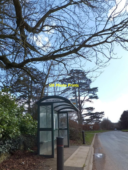 Photo 6"x4" Welsh Newton bus shelter Welsh Newton c2013