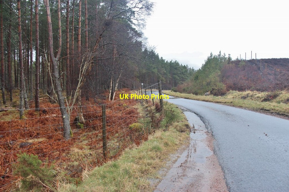 Photo 6"x4" Wooded roadside in Strath Brora Uppat c2013