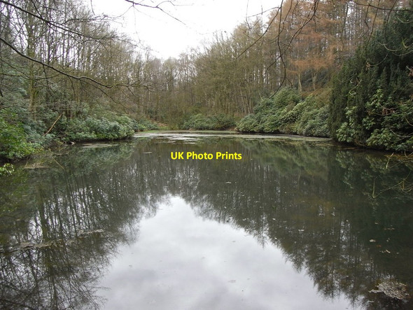 Photo 6"x4" Keele University Lake 7 Seabridge c2009