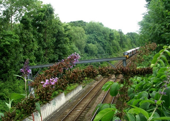 Photo 6"x4" View from Bradford Road Bridge - Menston Guiseley c2008