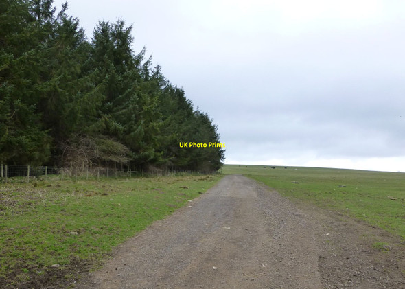 Photo 6"x4" Public access route to Freemans Hill Glantlees c2013