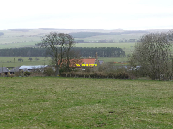 Photo 6"x4" Newton Greens farm Newton on the Moor c2013