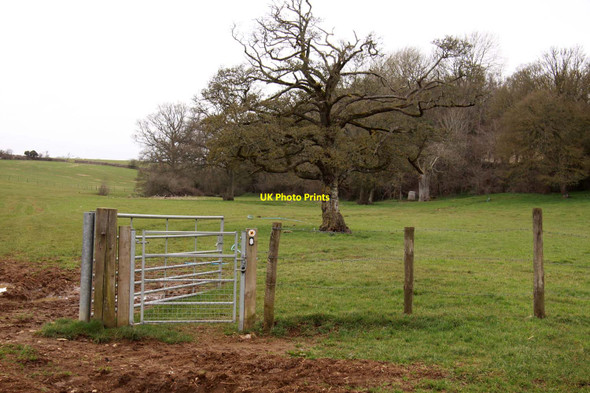 Photo 6"x4" First gate on the Thames Path Thames Head c2013