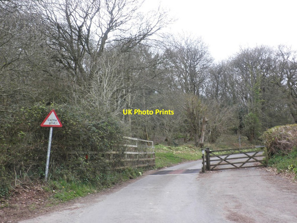 Photo 6"x4" Cattle grid on Crawter Hill West Luccombe c2013