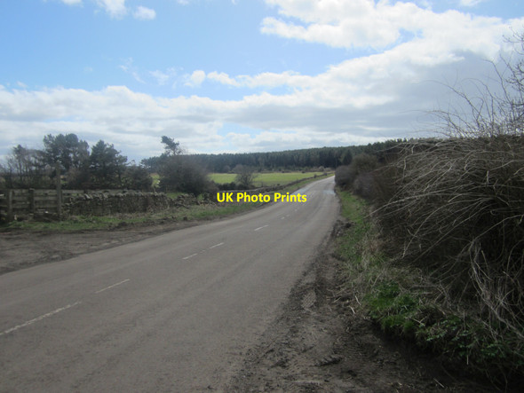 Photo 6"x4" Looking along the country road between Belford and Chatton Belford\/NU1033 c2013