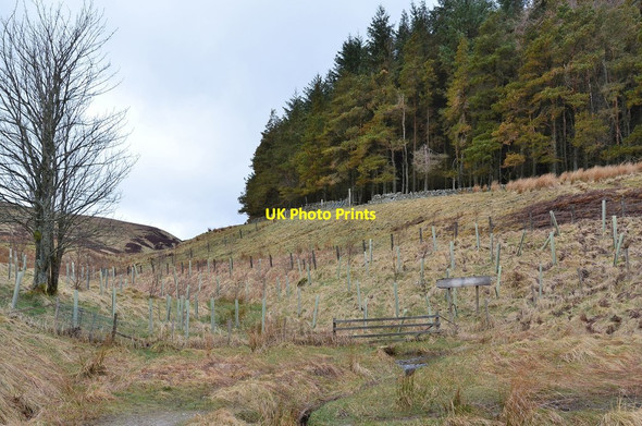 Photo 6"x4" Deerhope Burn near the North Esk Reservoir Carlops c2013