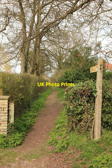 Photo 6"x4" Footpath leading from Essex Hill to Ickleton Road Elmdon\/TL4639 c2013
