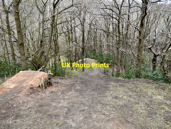 Photo 6"x4" Gower Hey Wood Hyde\/SJ9494 c2013