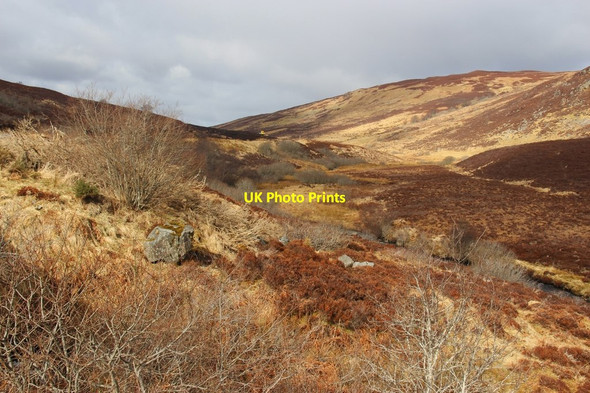 Photo 6"x4" Moorland and riverside scrub in Srath Carnaig Abhainn an t-Sratha Charnaig c2013
