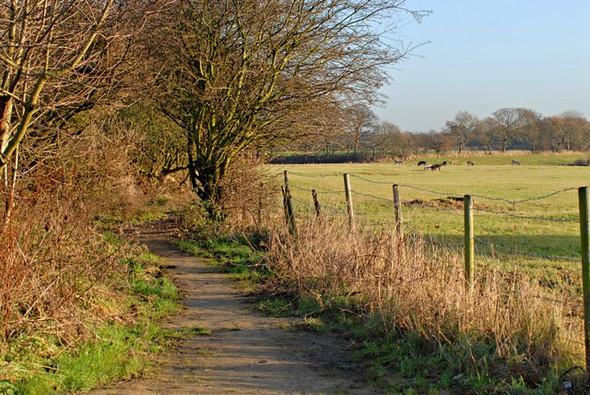 Photo 6"x4" Tyrers Lane Ashton Ashton-in-Makerfield c2005