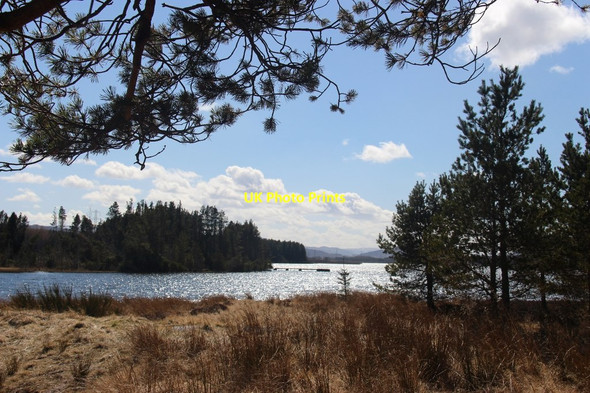 Photo 6"x4" A glint in the waters of Loch Ashie Loch Ashie c2013