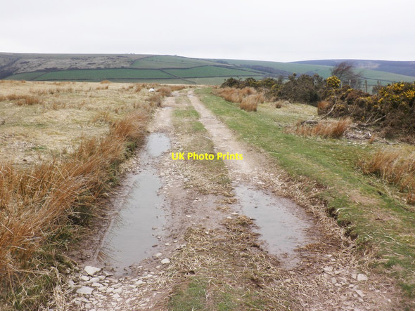 Photo 6"x4" Farm track on Tarr Ball Hill Doverhay c2013