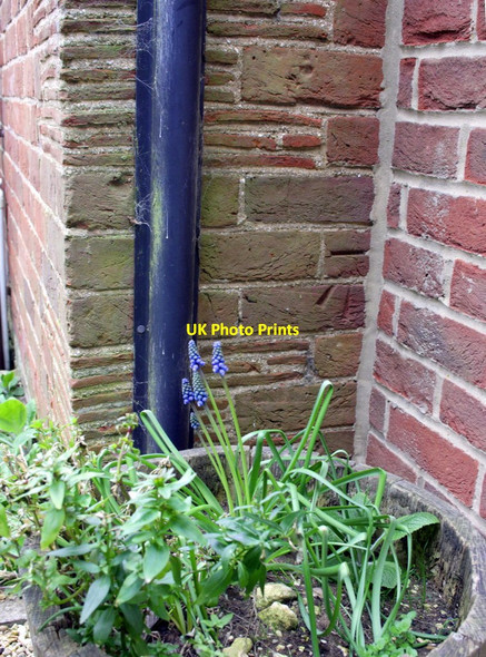 Photo 6"x4" Benchmark on #4 Edgewood Brackley\/SP5837 c2013
